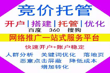 成功SEM推广代运营案例分享